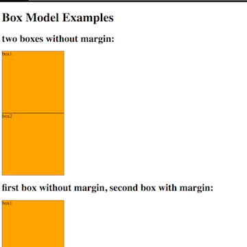 file for Box Model exercise